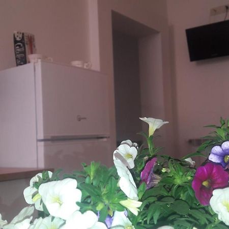 Grifo Apartment Grosseto Buitenkant foto